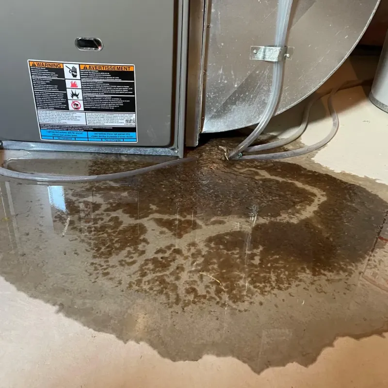 Appliance Leak Cleanup in Lely Resort, FL