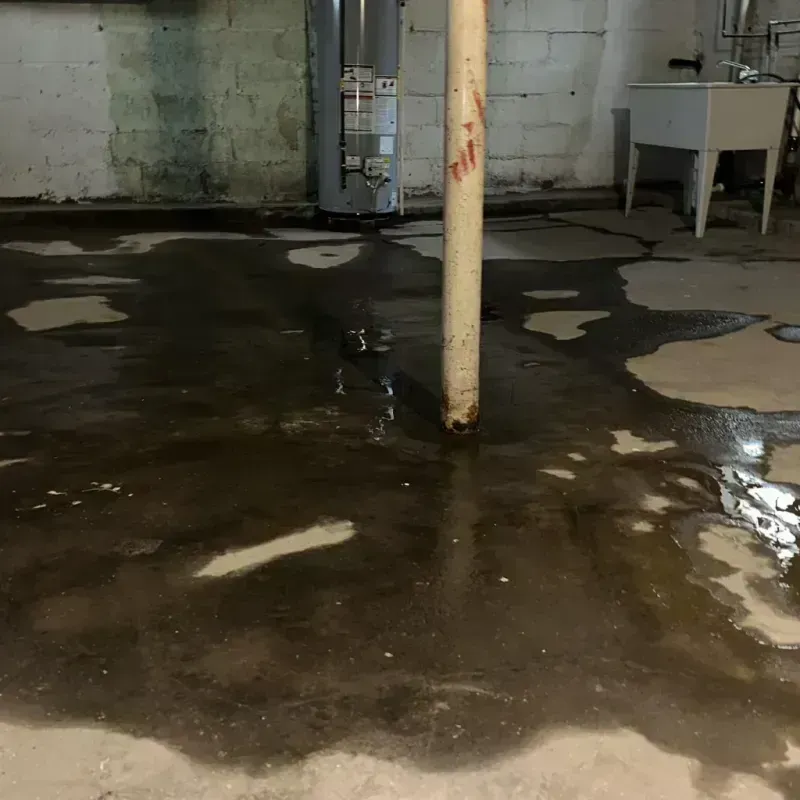 Emergency Water Extraction And Removal in Lely Resort, FL